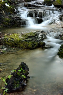 Ruisseau du Bourget en Huile