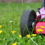 Tondeuse dans l'herbe 