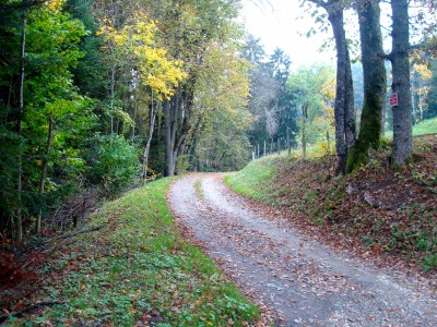 Chemin des granges à l'automne au Bourget en huile