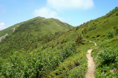 Sentier conduisant au Grand Chat