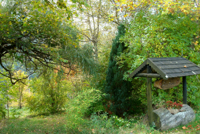 Végétation d'automne à l'entrée des Amiers