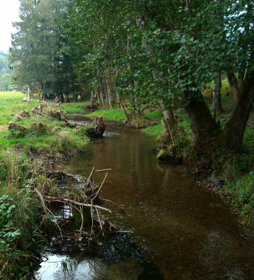 Les rives du Gelon au Bourget en Huile