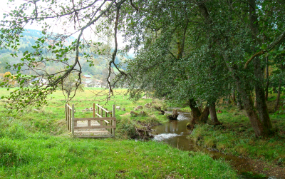 Passerelle en bois au bord du Gelon au Bourget en Huile