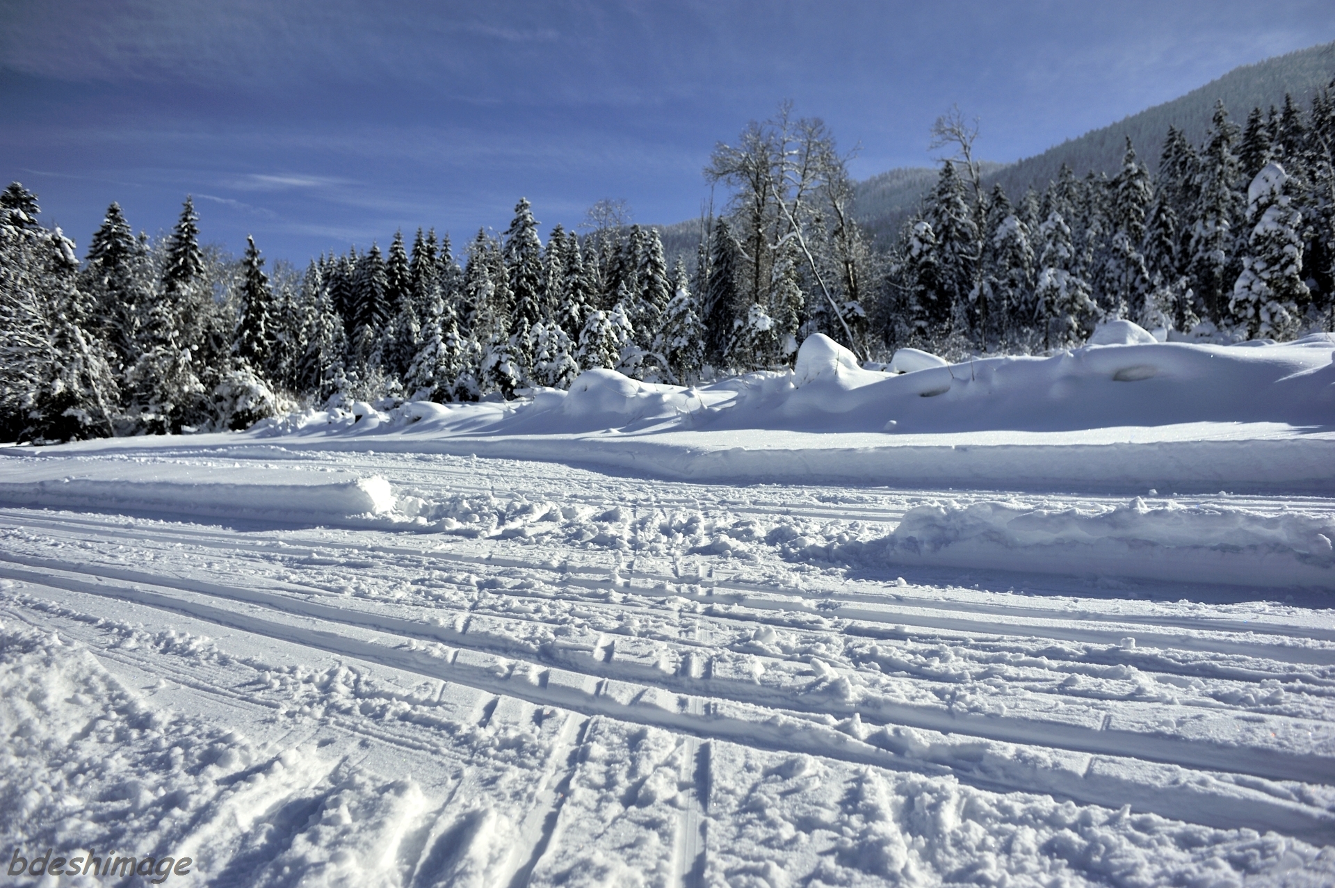 Croisement de pistes de ski au Bourget en Huile