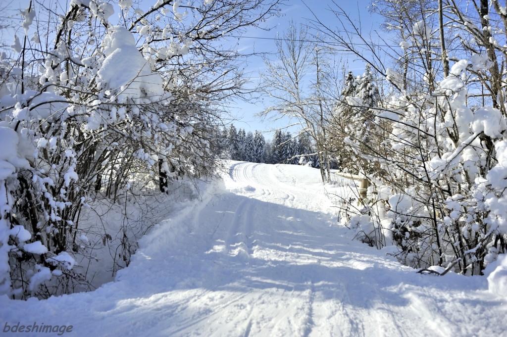 Montée des pistes de ski au Bourget en Huile