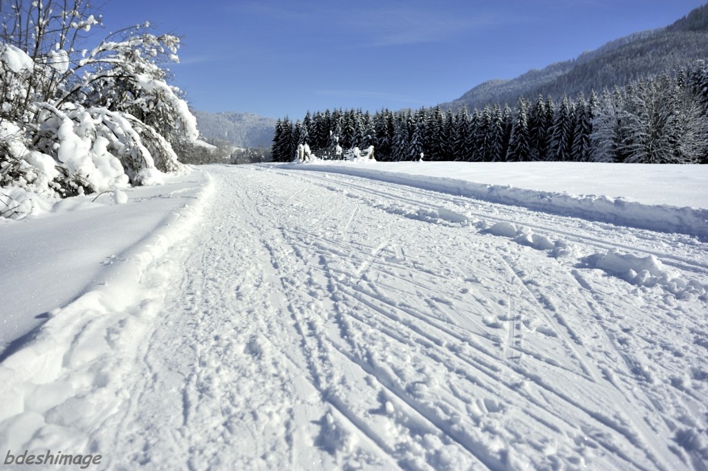 Traces sur les pistes de skating du Bourget en Huile